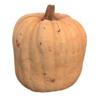 Pumpkin 3D Scan Retopo #15